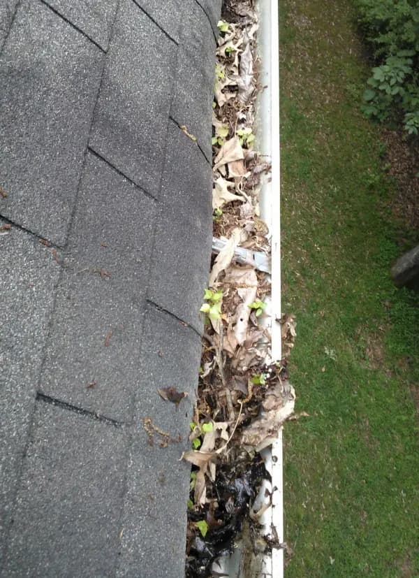 Cleaning Gutters