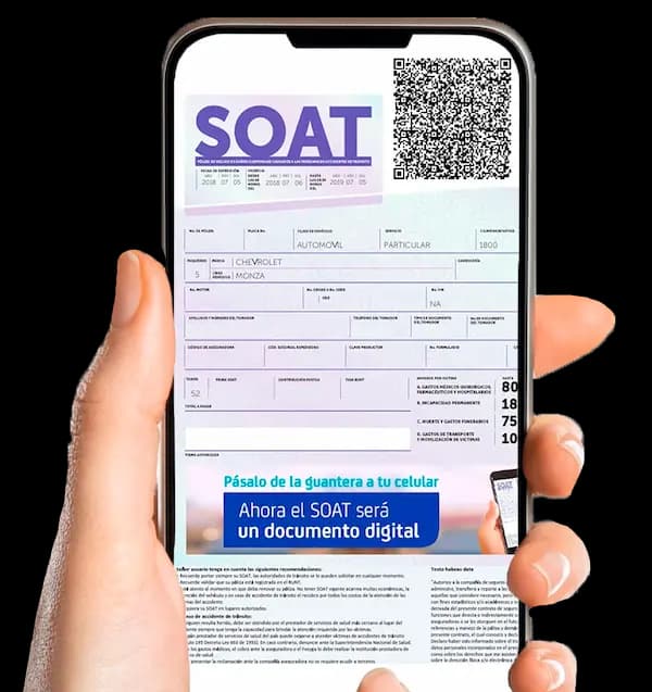 Dominguez Property Management DPM Carlos Dominguez Diego Mejia